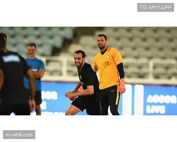 萨索洛主力中卫埃尔利奇累积黄牌停赛，将缺席下轮