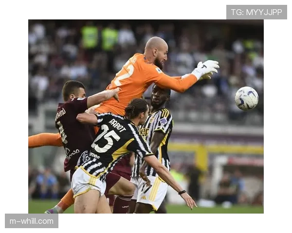 从门将到绝杀功臣:都灵门将米林科维奇-萨维奇补时头球救主纪实 从门将到绝杀功臣:都灵门将米林科维奇-萨维奇补时头球救主纪实